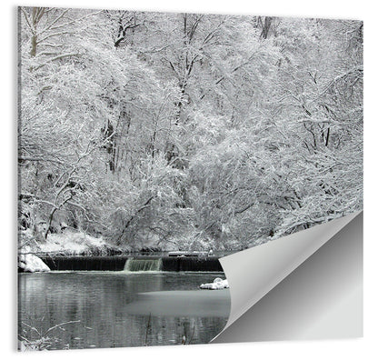 Fairmount Park Winter Spillway Wall Art
