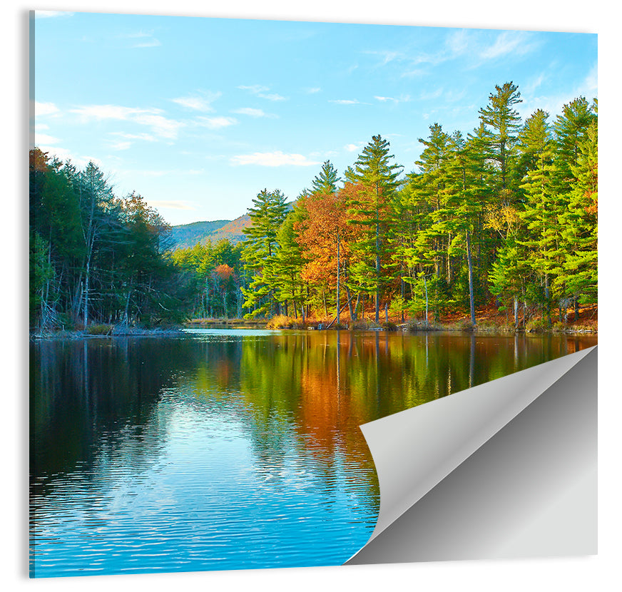 White Mountain Forest Reflections Wall Art