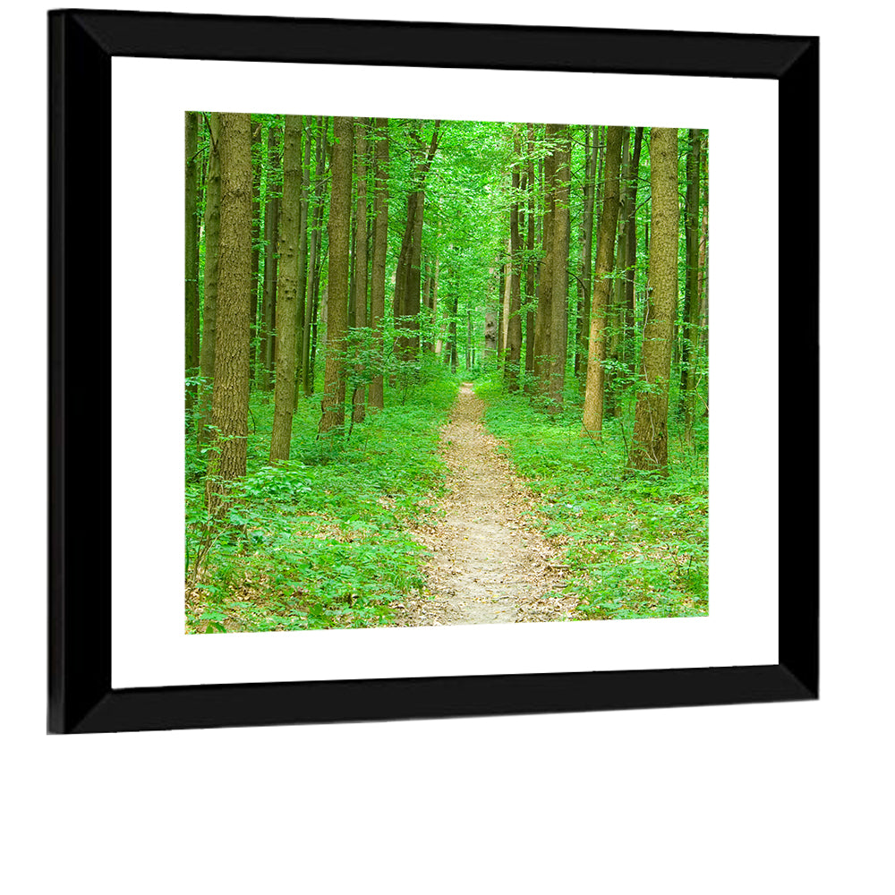 Green Forest Pathway Wall Art