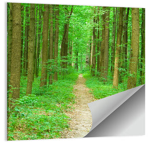 Green Forest Pathway Wall Art