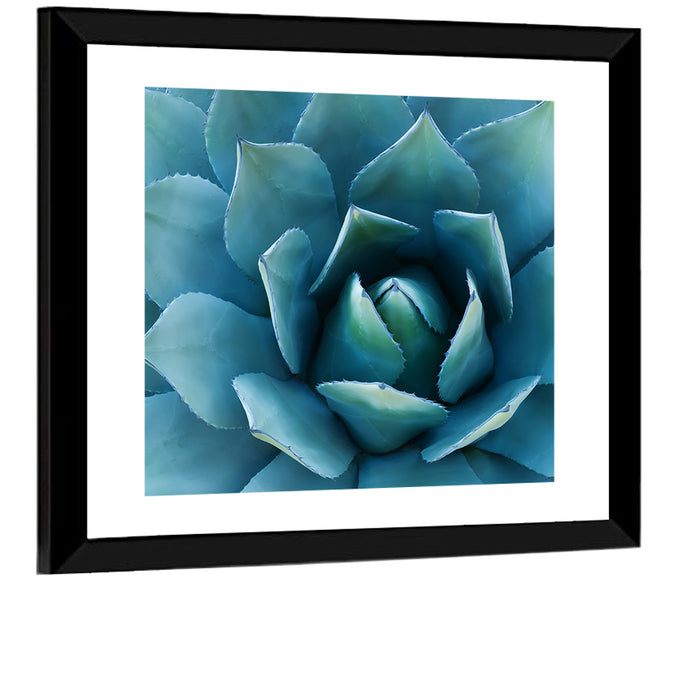 Spiral Agave Macro Wall Art as a framed print