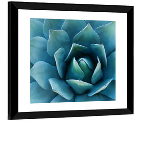 Agave Plant Wall Art