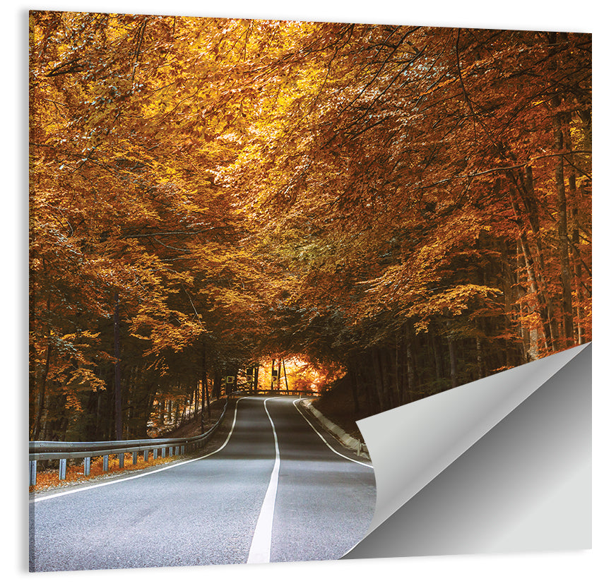 Autumn Forest Road with Canopy Wall Art