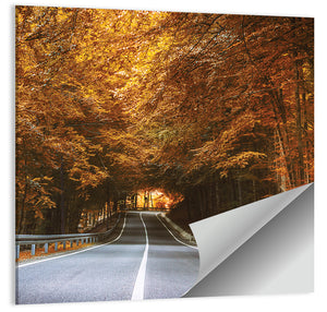 Dense Forest Road Wall Art