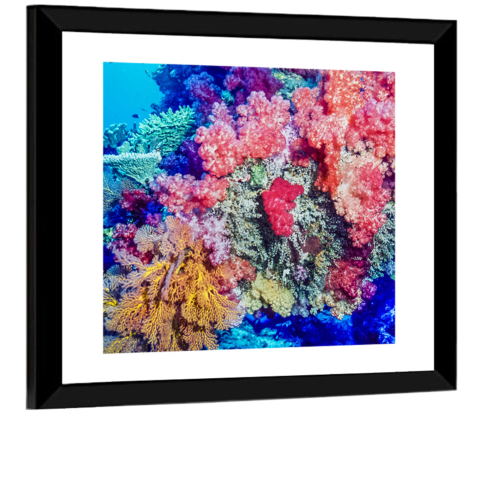 Vibrant Coral Reef Wall Art