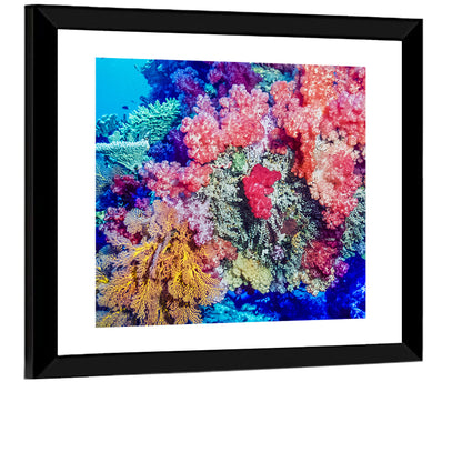 Coral Reef Wall Art