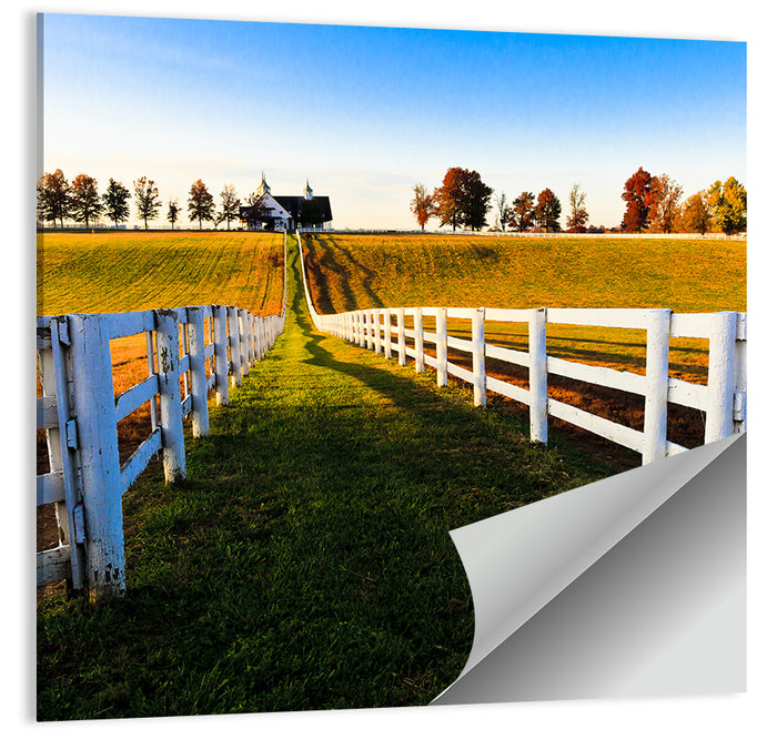 Kentucky Horse Farm at Golden Hour Wall Art as a poster print