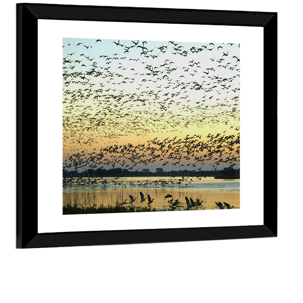 Snow Geese Over River Wall Art