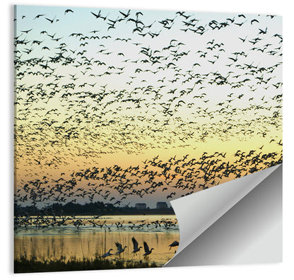 Snow Geese Over River Wall Art