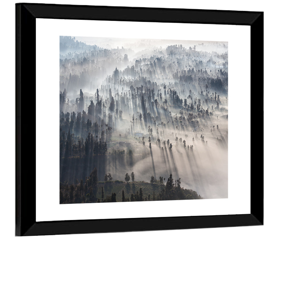 Misty Forest Sunrise Wall Art