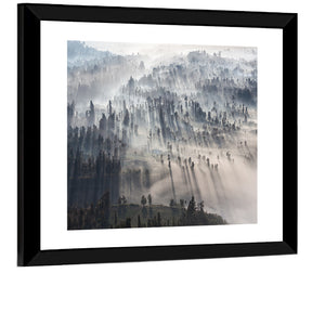 Foggy Forest Sunrise Wall Art