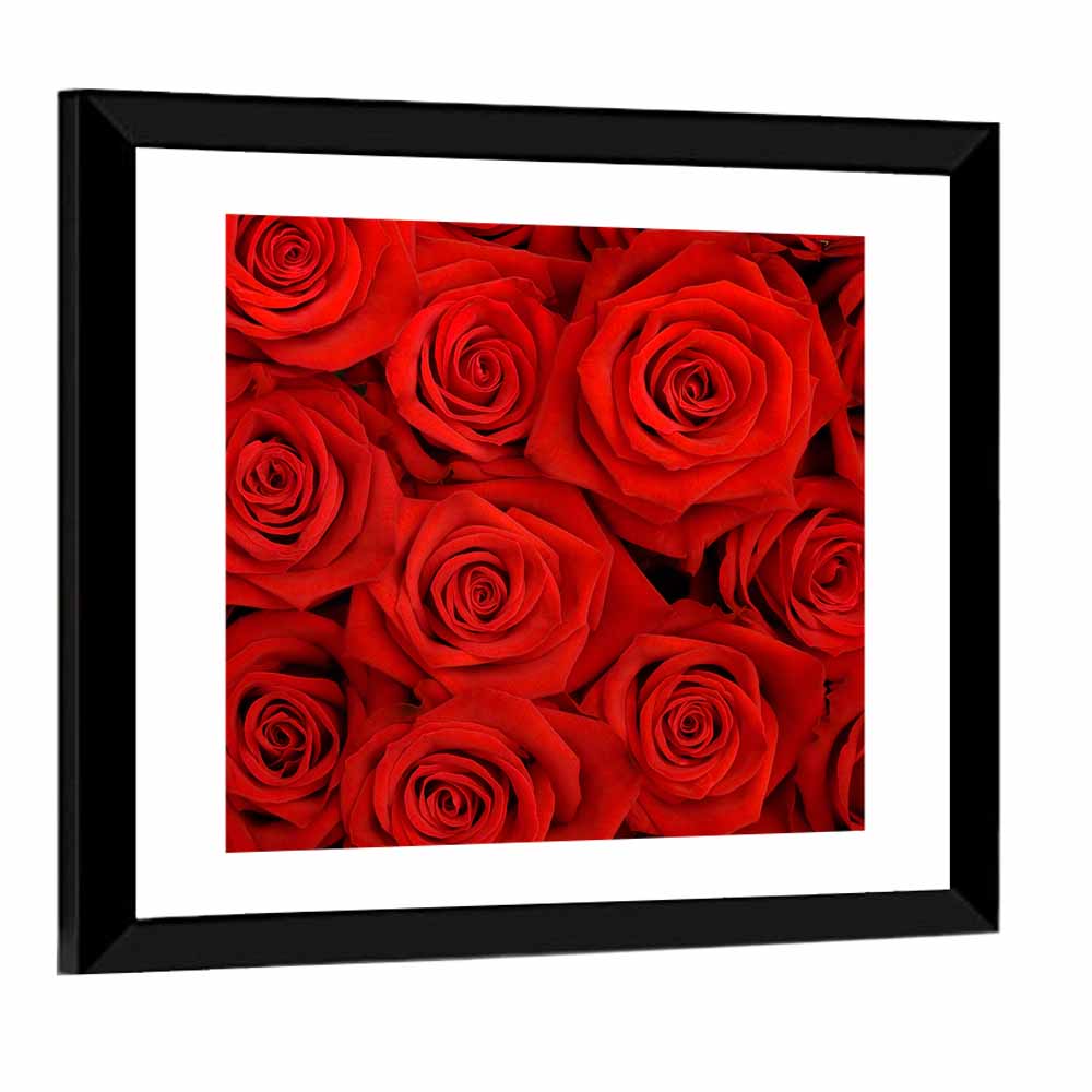 Red Roses Close Up Wall Art