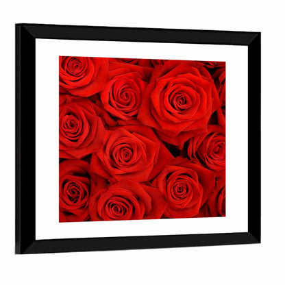 Red Roses Close Up Wall Art