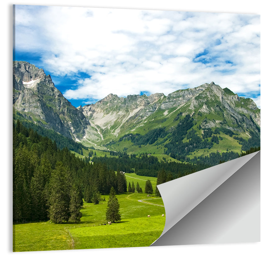 Arnibach Valley Summer Meadow Wall Art