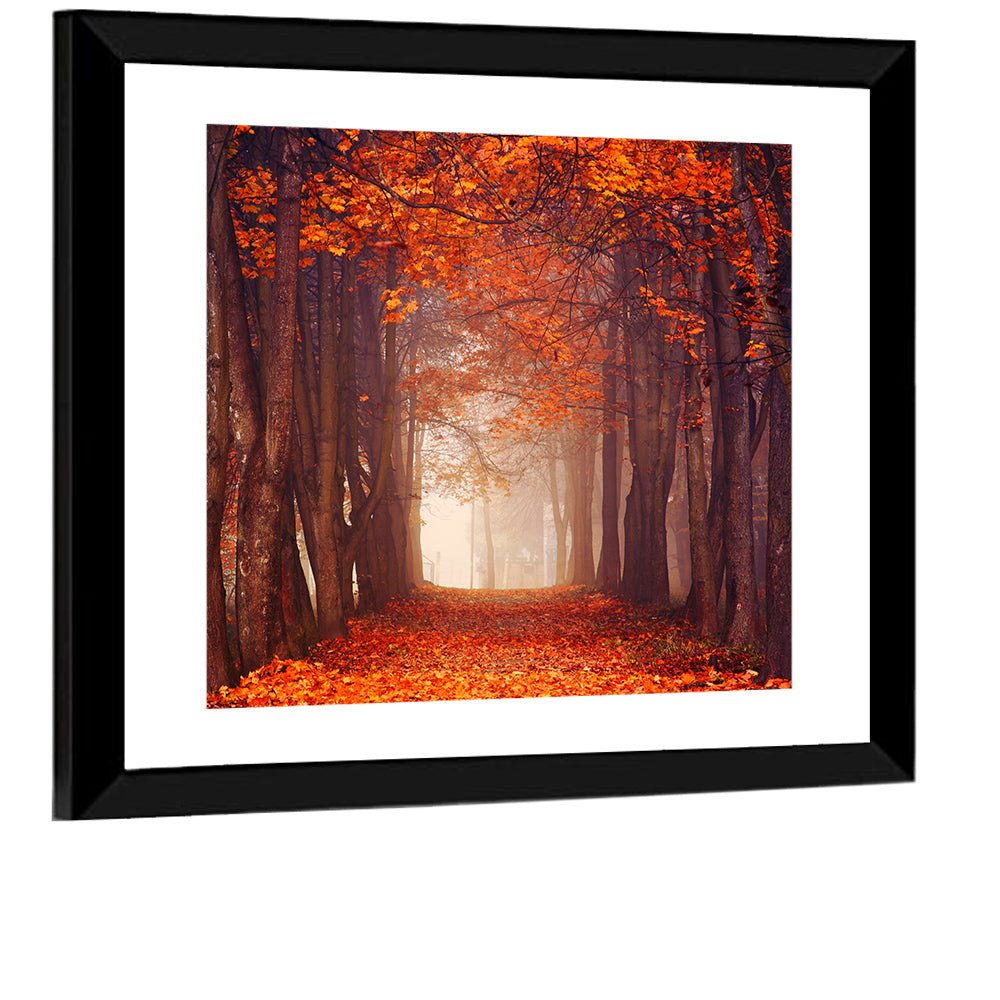 Misty Autumn Forest Path Wall Art