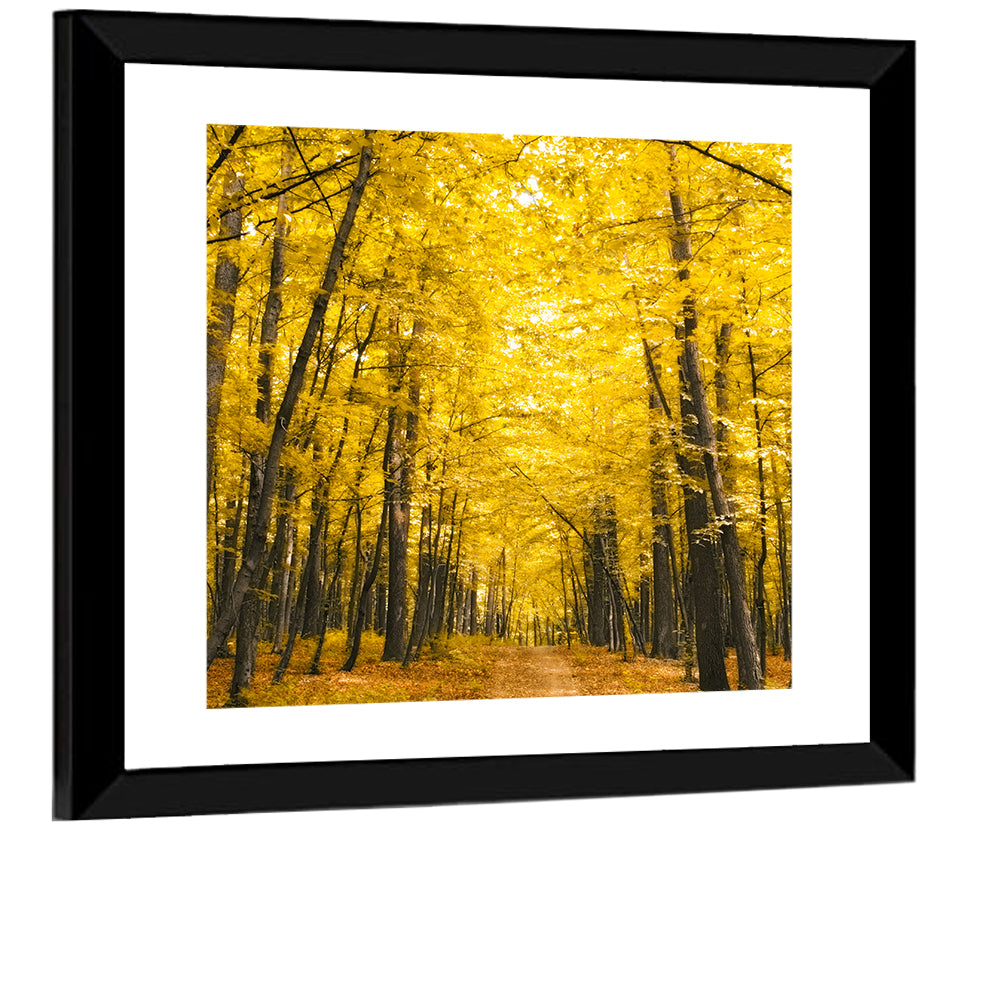 Yellow Autumn Forest Path Wall Art