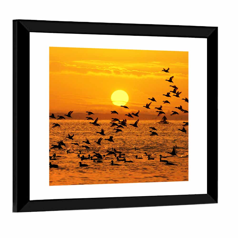 Golden Flock at Sunset Wall Art
