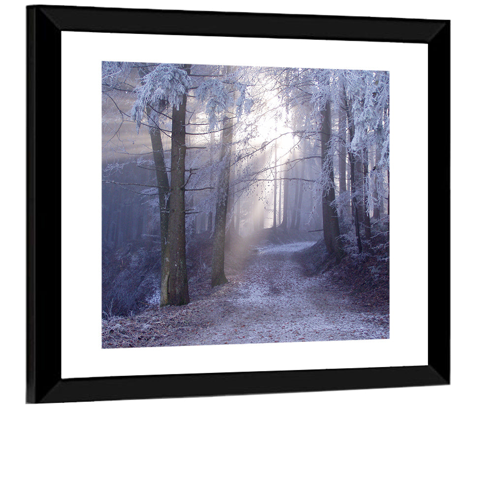 Frosted Forest Path at Dawn Wall Art