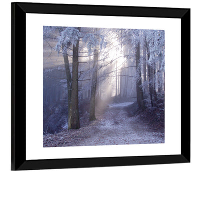 Snowy Forest Track Wall Art