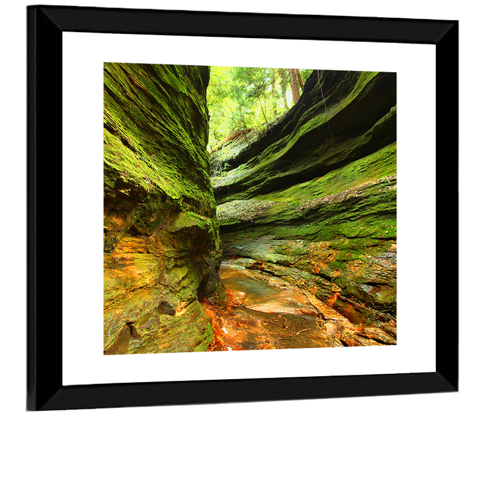 Turkey Run State Park Canyon Wall Art