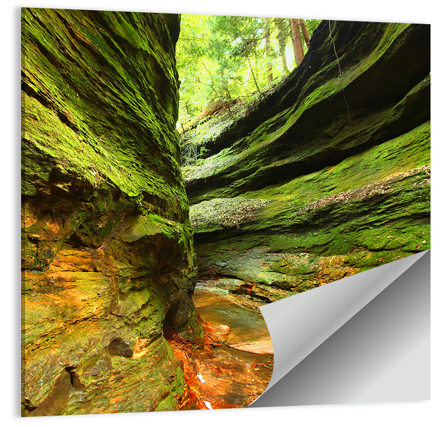 Turkey Run State Park Canyon Wall Art
