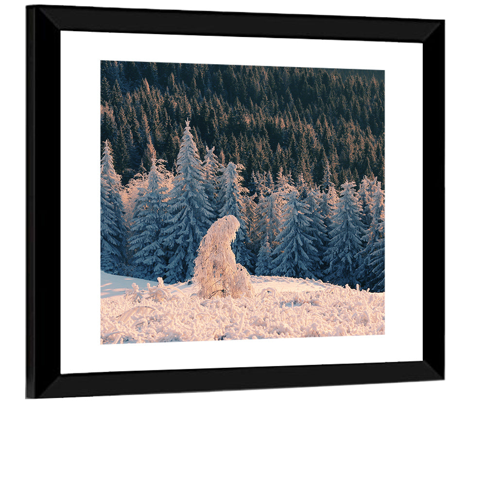 Carpathian Forest at Golden Hour Wall Art