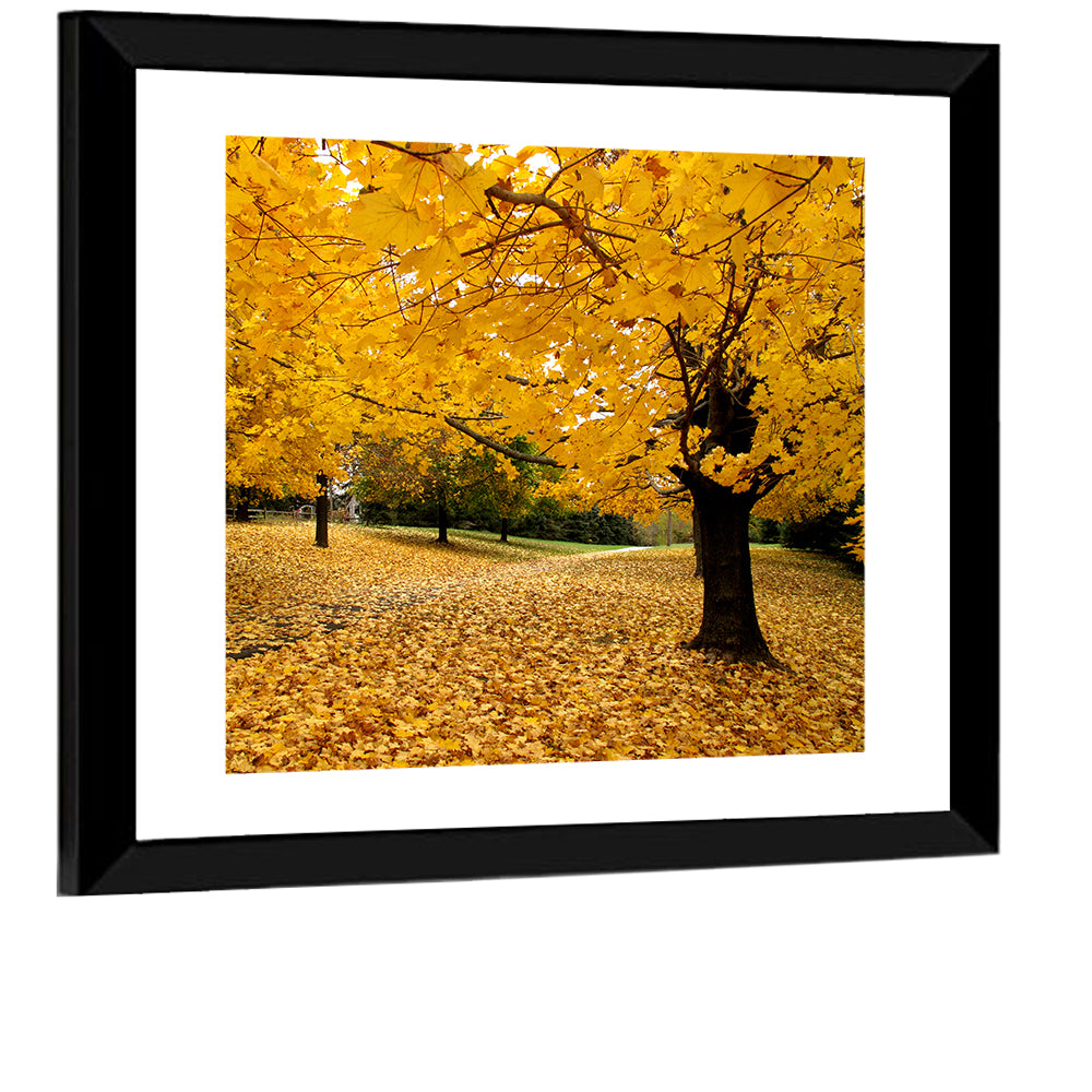 Baltimore Autumn Foliage Wall Art