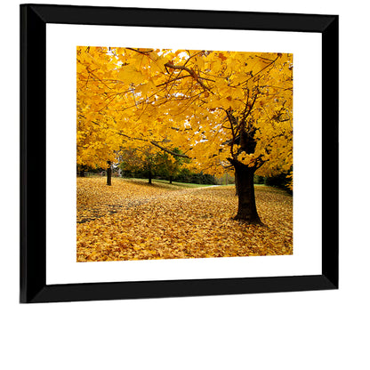 Baltimore Autumn Foliage Wall Art