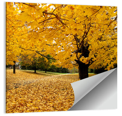 Baltimore Autumn Foliage Wall Art