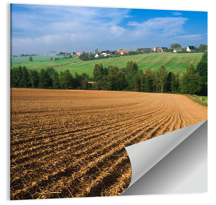 Kansas Wheat Fields Wall Art