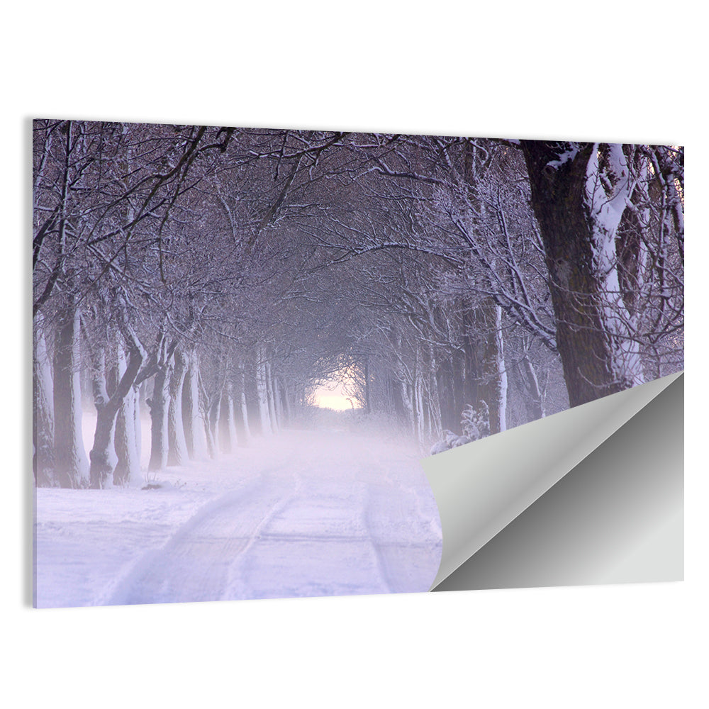Kuressaare Park Snowy Path Wall Art