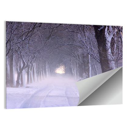 Kuressaare Park Snowy Path Wall Art