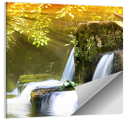 Sunlit Forest Waterfall Wall Art
