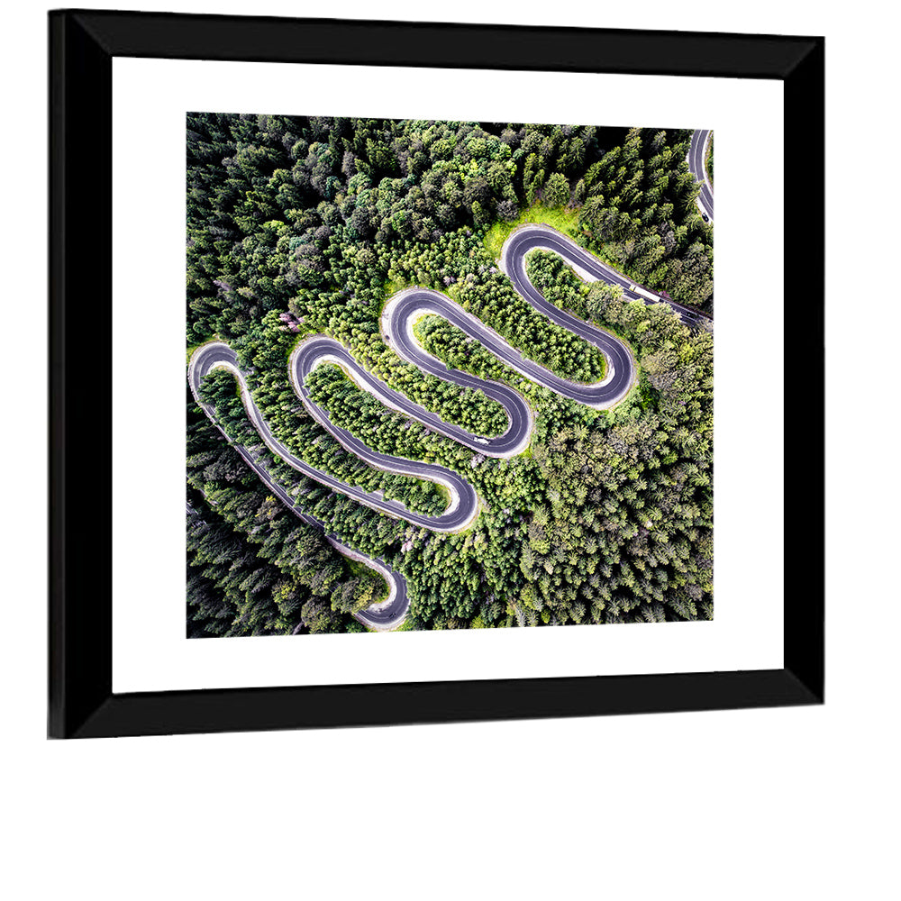 Serpentine Mountain Road Wall Art