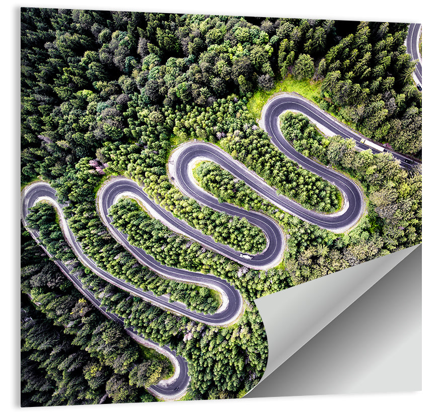 Serpentine Mountain Road Wall Art