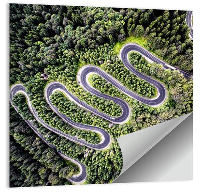 Serpentine Mountain Road Wall Art