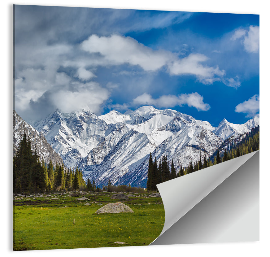 Ala Archa Meadow and Peaks Wall Art