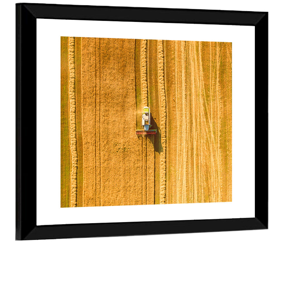 Aerial Wheat Harvest Wall Art