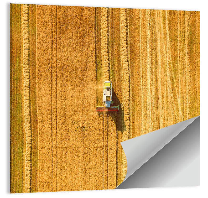 Aerial Wheat Harvest Wall Art