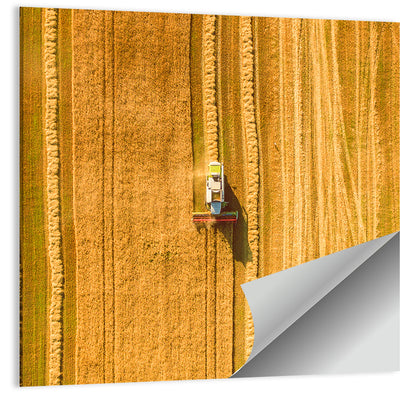 Aerial Wheat Harvest Wall Art