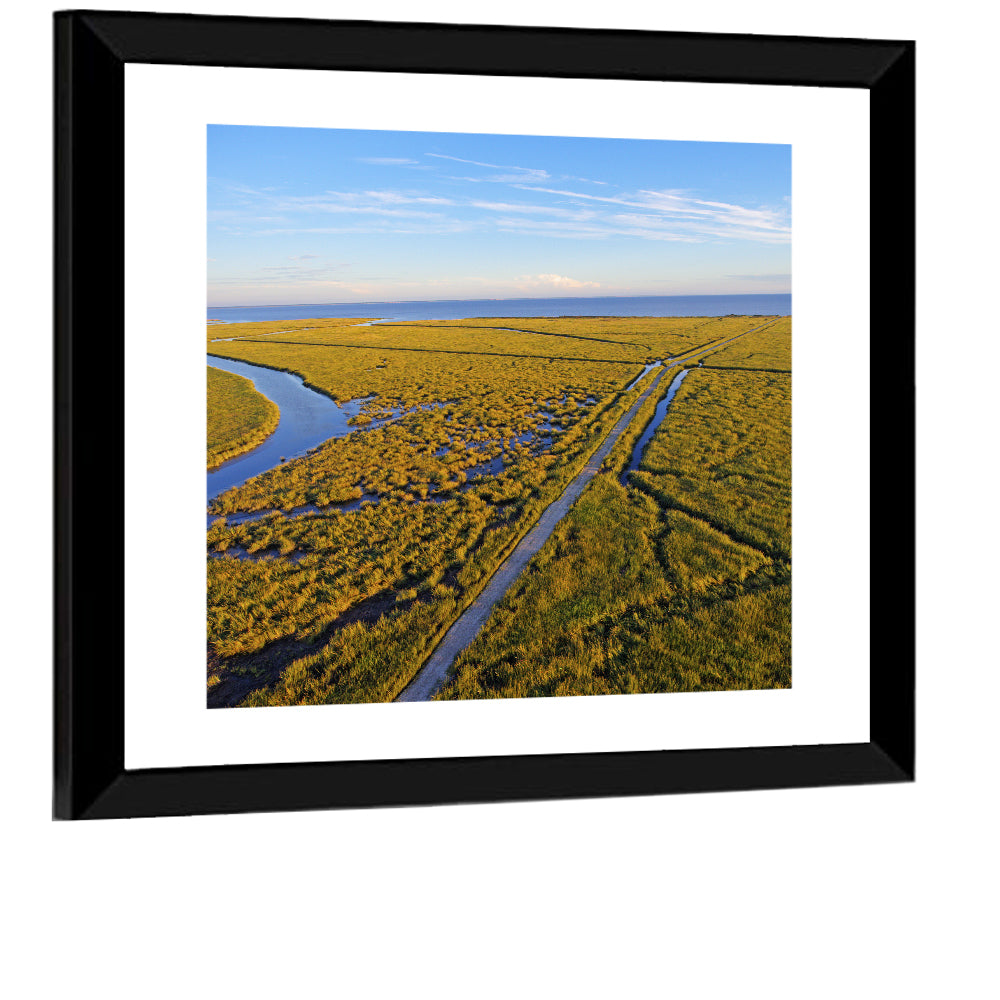 Delaware Bay Marshland Aerial Wall Art