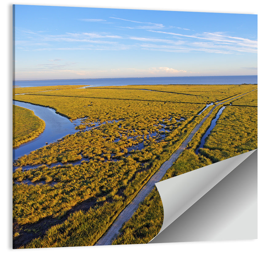 Delaware Bay Marshland Aerial Wall Art