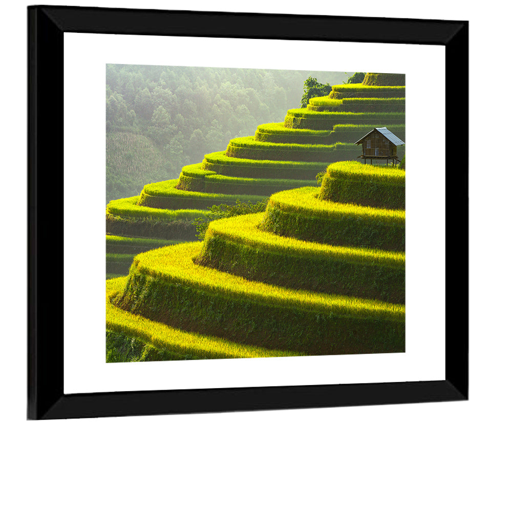 Golden Rice Terraces Wall Art