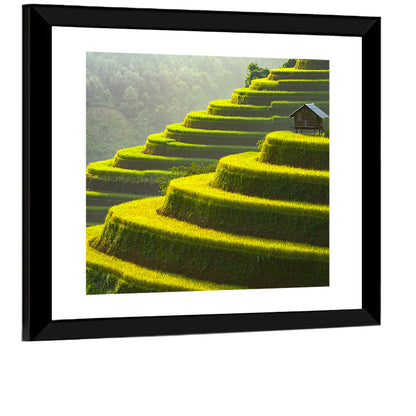 Golden Rice Terraces Wall Art
