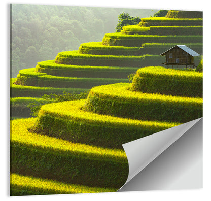 Golden Rice Terraces Wall Art