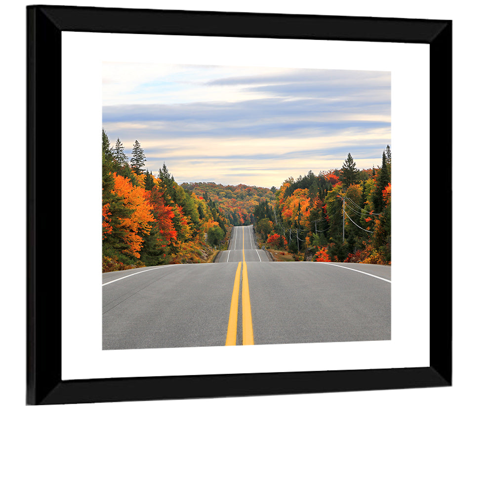 Algonquin Park Road Wall Art