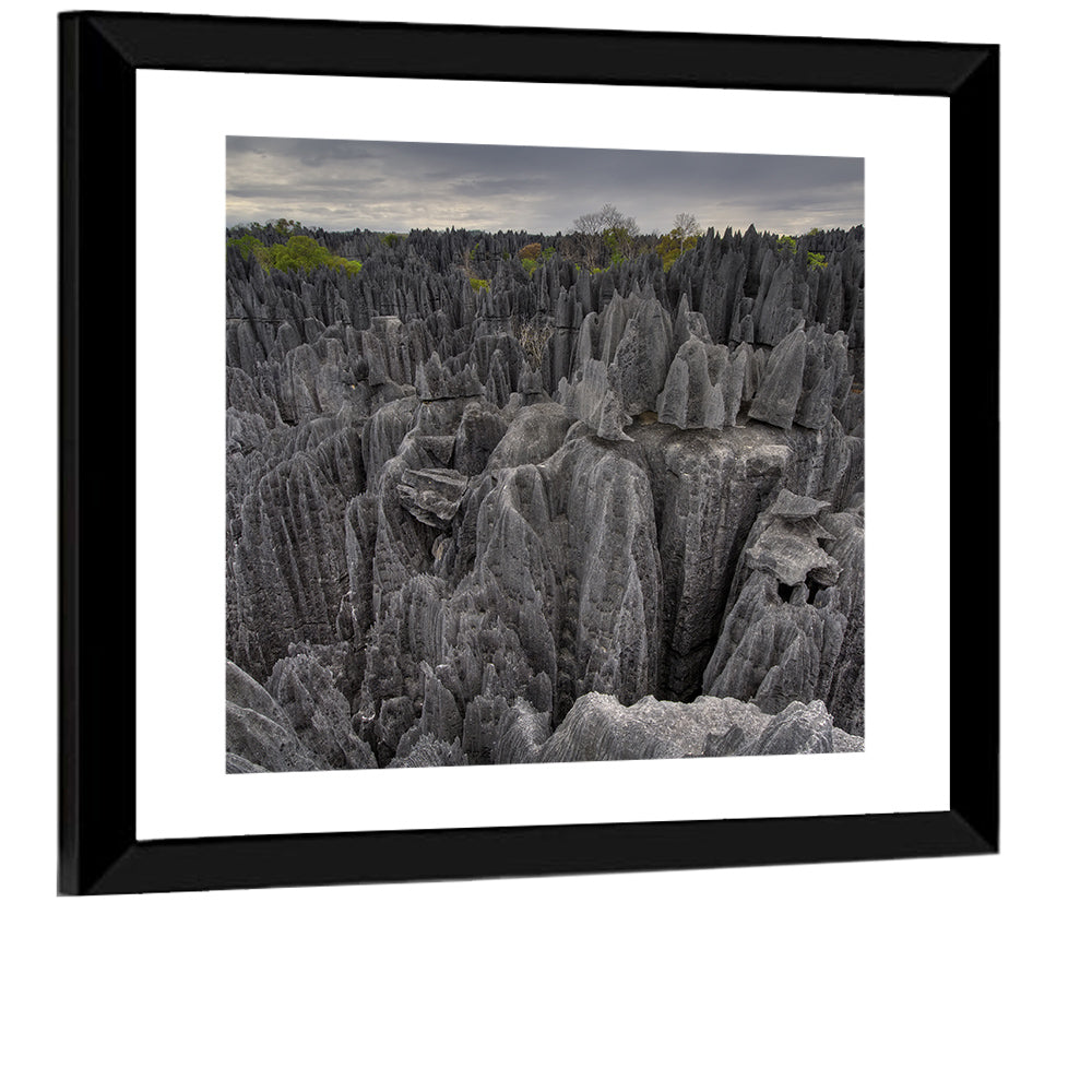 Tsingy De Bemaraha Pinnacles Wall Art