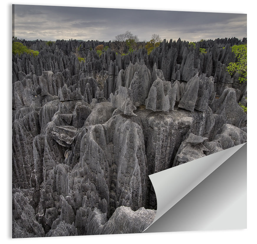 Tsingy De Bemaraha Pinnacles Wall Art