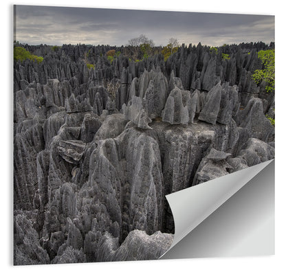 Tsingy De Bemaraha Pinnacles Wall Art