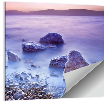 Dead Sea Salt Rocks at Dawn Wall Art